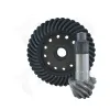 Yukon Differential Ring and Pinion YG DS111-444